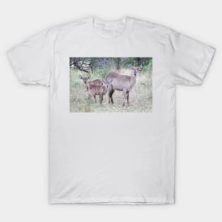 Waterbuck family T-Shirt